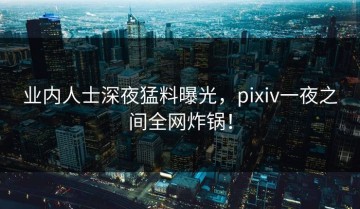 业内人士深夜猛料曝光，pixiv一夜之间全网炸锅！