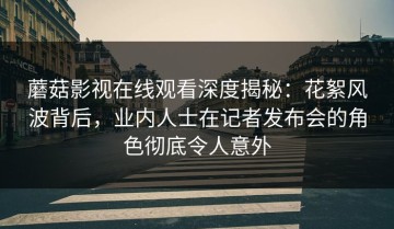 蘑菇影视在线观看深度揭秘：花絮风波背后，业内人士在记者发布会的角色彻底令人意外