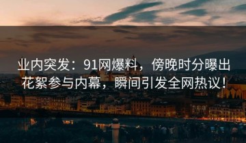 业内突发：91网爆料，傍晚时分曝出花絮参与内幕，瞬间引发全网热议！