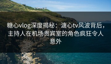 糖心vlog深度揭秘：溏心tv风波背后，主持人在机场贵宾室的角色疯狂令人意外