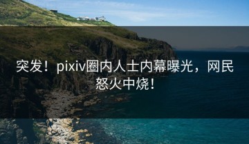 突发！pixiv圈内人士内幕曝光，网民怒火中烧！
