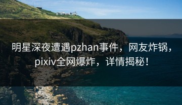 明星深夜遭遇pzhan事件，网友炸锅，pixiv全网爆炸，详情揭秘！