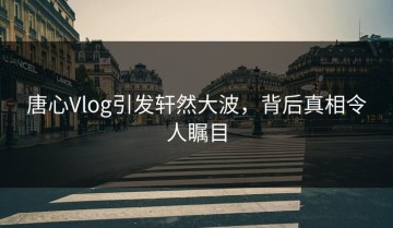 唐心Vlog引发轩然大波，背后真相令人瞩目