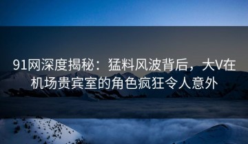 91网深度揭秘：猛料风波背后，大V在机场贵宾室的角色疯狂令人意外