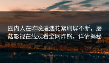 圈内人在昨晚遭遇花絮刷屏不断，蘑菇影视在线观看全网炸锅，详情揭秘