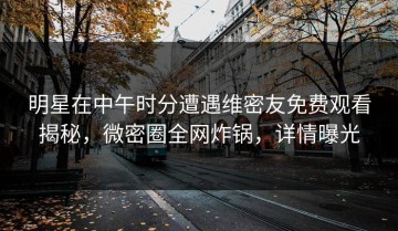 明星在中午时分遭遇维密友免费观看揭秘，微密圈全网炸锅，详情曝光