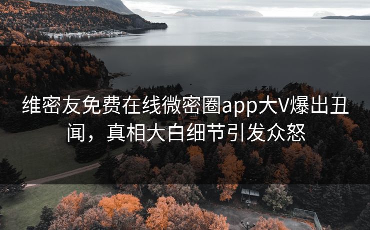 维密友免费在线微密圈app大V爆出丑闻，真相大白细节引发众怒