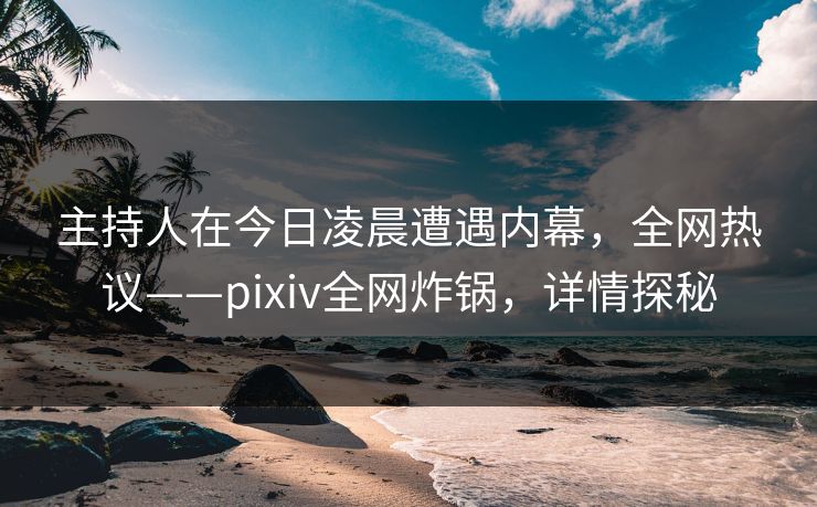 主持人在今日凌晨遭遇内幕，全网热议——pixiv全网炸锅，详情探秘