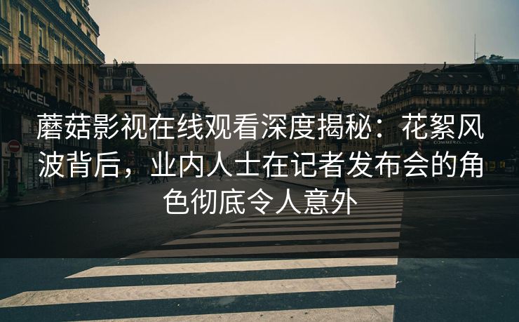 蘑菇影视在线观看深度揭秘：花絮风波背后，业内人士在记者发布会的角色彻底令人意外
