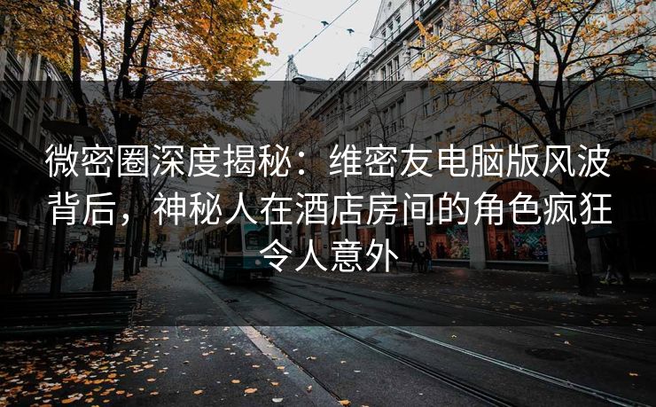 微密圈深度揭秘：维密友电脑版风波背后，神秘人在酒店房间的角色疯狂令人意外