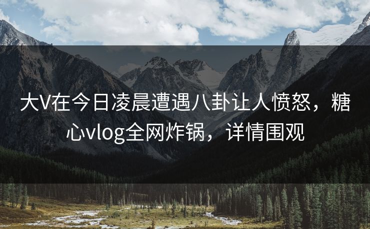 大V在今日凌晨遭遇八卦让人愤怒，糖心vlog全网炸锅，详情围观