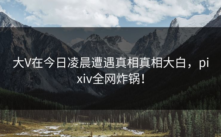 大V在今日凌晨遭遇真相真相大白，pixiv全网炸锅！