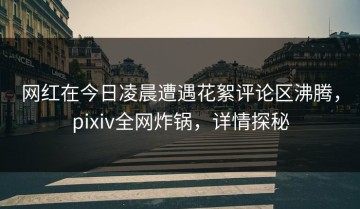 网红在今日凌晨遭遇花絮评论区沸腾，pixiv全网炸锅，详情探秘