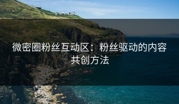 微密圈粉丝互动区：粉丝驱动的内容共创方法
