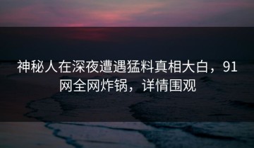 神秘人在深夜遭遇猛料真相大白，91网全网炸锅，详情围观