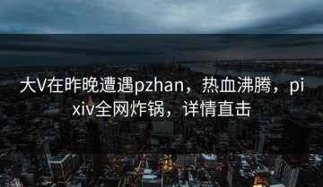 大V在昨晚遭遇pzhan，热血沸腾，pixiv全网炸锅，详情直击