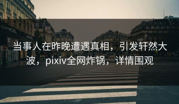 当事人在昨晚遭遇真相，引发轩然大波，pixiv全网炸锅，详情围观