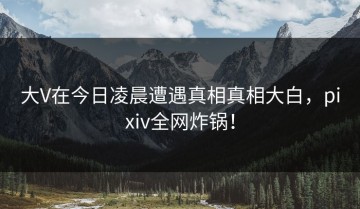 大V在今日凌晨遭遇真相真相大白，pixiv全网炸锅！