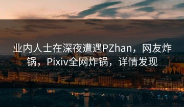 业内人士在深夜遭遇PZhan，网友炸锅，Pixiv全网炸锅，详情发现