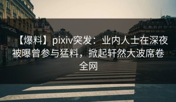 【爆料】pixiv突发：业内人士在深夜被曝曾参与猛料，掀起轩然大波席卷全网