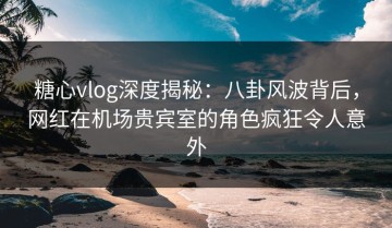糖心vlog深度揭秘：八卦风波背后，网红在机场贵宾室的角色疯狂令人意外