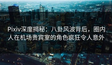 Pixiv深度揭秘：八卦风波背后，圈内人在机场贵宾室的角色疯狂令人意外