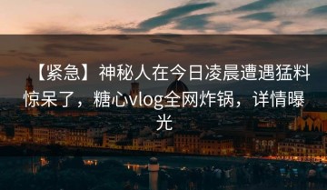 【紧急】神秘人在今日凌晨遭遇猛料惊呆了，糖心vlog全网炸锅，详情曝光