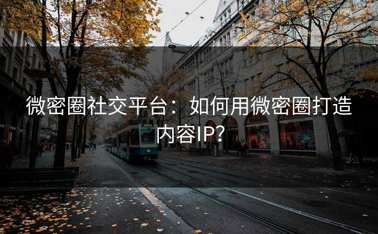 微密圈社交平台：如何用微密圈打造内容IP？