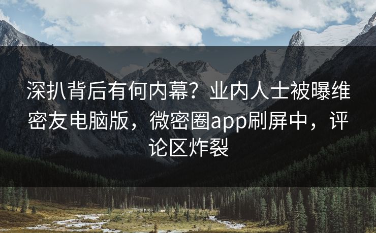 深扒背后有何内幕？业内人士被曝维密友电脑版，微密圈app刷屏中，评论区炸裂