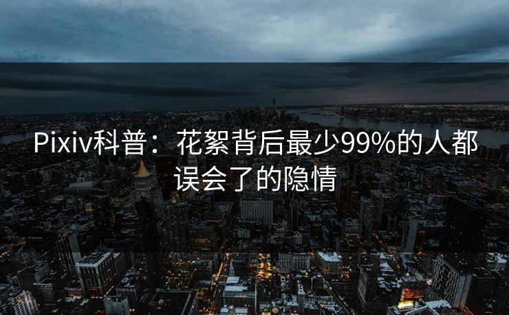 Pixiv科普：花絮背后最少99%的人都误会了的隐情