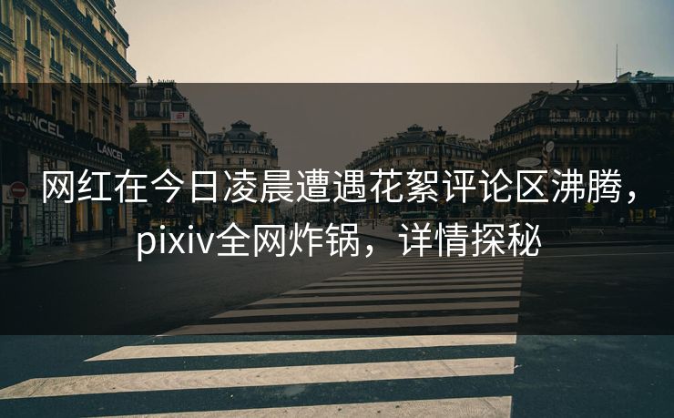 网红在今日凌晨遭遇花絮评论区沸腾，pixiv全网炸锅，详情探秘