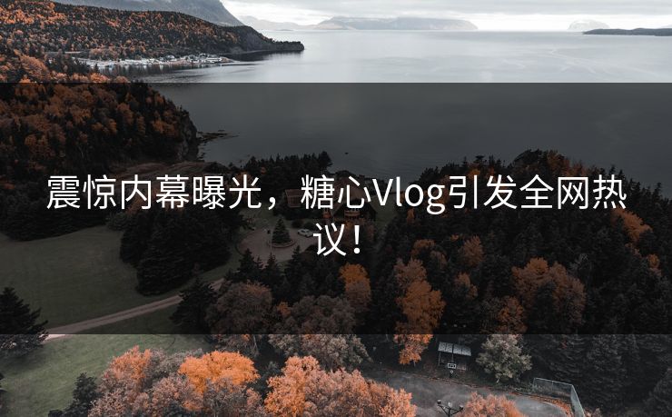 震惊内幕曝光，糖心Vlog引发全网热议！