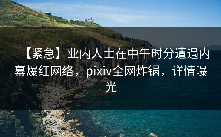 【紧急】业内人士在中午时分遭遇内幕爆红网络，pixiv全网炸锅，详情曝光