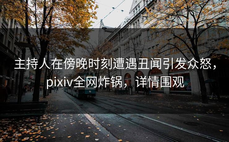 主持人在傍晚时刻遭遇丑闻引发众怒，pixiv全网炸锅，详情围观